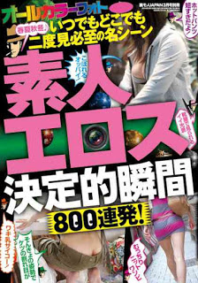 素人エロス決定的瞬間-800連発！　いつでもどこでも二度見必至の名シーン.jpg